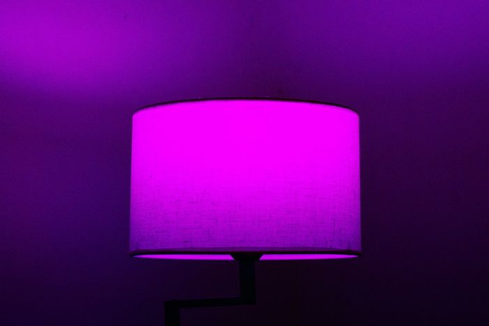 Best Smart Bulbs for 2026: 5 Picks From First Bulb to Full Hue Setup